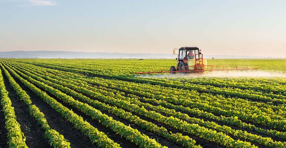 Agriculture Labour Supply Agency in UAE