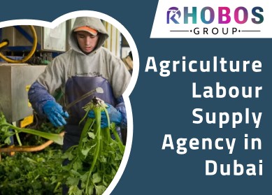 Agriculture Labour Supply Agency in Dubai