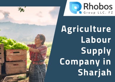 Agriculture Labour Supply Company in Sharjah