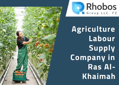 Agriculture Labour Supply Company in Ras Al-Khaimah