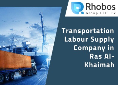 Transportation Labour Supply in Ras Al-Khaimah